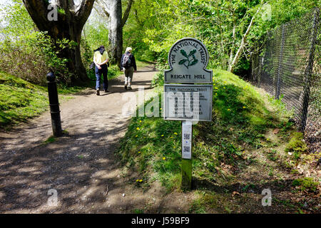 Eine Frau, im Grüngürtel Land auf die North Downs Way und Pilger Weg in Reigate Hill in Surrey. Stockfoto