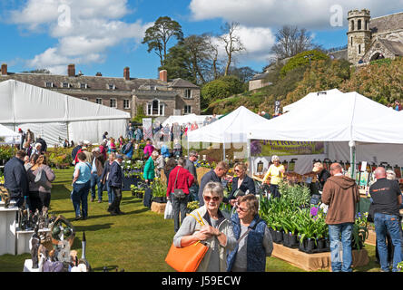 Besucher Boconnoc Hauses genießen die Cornwall Frühlingsblume zeigen, England, uk. Stockfoto