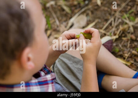 Nahaufnahme eines jungen Vorbereitung einen Köder im Wald Stockfoto