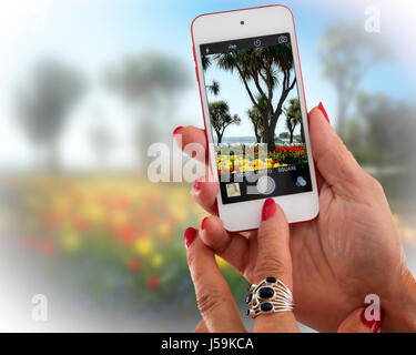 GB - DEVON: Torre Abbey Gardens in Torquay Stockfoto