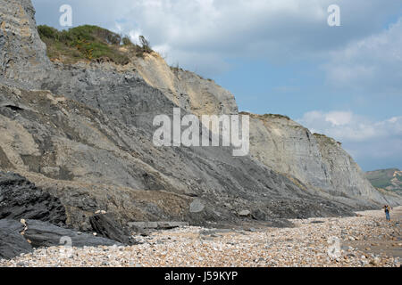 Die fossilen angereicherte Klippen zwischen Charmouth und Golden Cap. Stockfoto