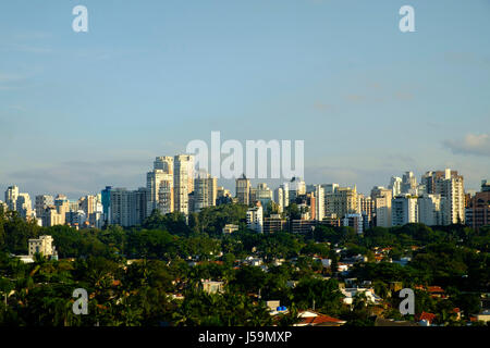 Städtischen Skyline von Sao Paulo, Wohnblocks und bewaldete Parklandschaft im Vordergrund. Stockfoto