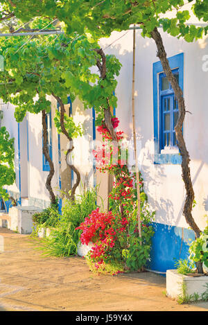 Malerisches Landhaus mit blauen Fensterrahmen und Blumen schmücken die Türen Stockfoto