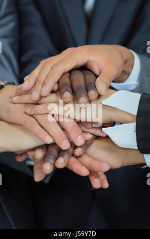 Menschen setzen ihre Hände zusammen, Hände im Fokus Stockfoto