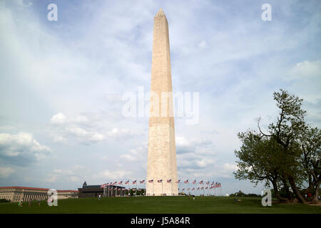 Das Washington Monument Obelisk der national Mall in Washington DC USA Stockfoto