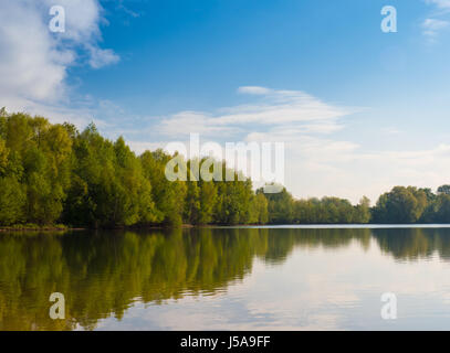 Bäume rund um den See im Frühjahr an einem sonnigen Morgen Stockfoto