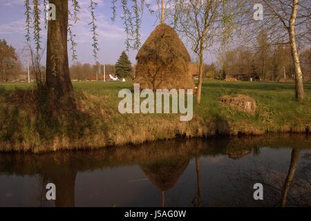 Ferien Urlaub Ferien Urlaub Erholung Heuhaufen Wiese spreewald Stockfoto