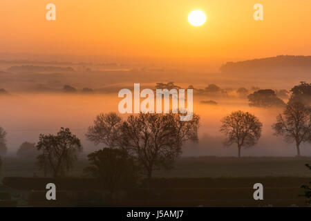 Sonnenaufgang über Süd leicestershire Stockfoto