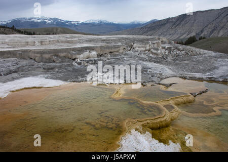 Mammoth Hot Springs von oben mit Travertin Terrassen, bunten Algen und Panoramablick über den Schnee bedeckt Berge in der Ferne. Stockfoto