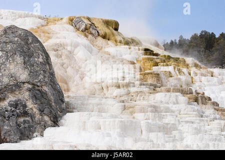 Mammoth Hot Springs mit Travertin Terrassen im Vordergrund, die black Devil Daumen auf der linken und der Dampf steigt aus dem Wasser an der Spitze. Stockfoto