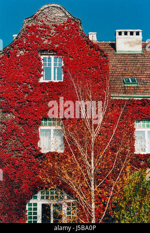 Blaues Haus bauen Haus Wohnhaus Wohnhaus Farbe Baum Grün Stockfoto