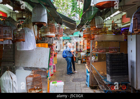 Hong Kong, Hong Kong - 10. März 2017: Vogelmarkt in Kowloon, Hong Kong, mit unbekannten Menschen. Es ist ein beliebter Ort für Touristen Stockfoto