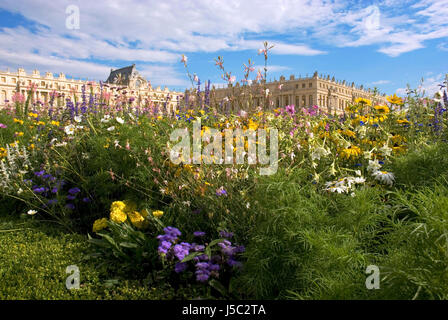 Beeten blühen im Norden Parterre der Gärten von Versailles Stockfoto