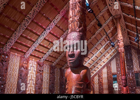 Maori Versammlungshaus mit traditionellen geschnitzten Interieur, dem nationalen Marae in Waitangi Treaty Grounds in Neuseeland Stockfoto