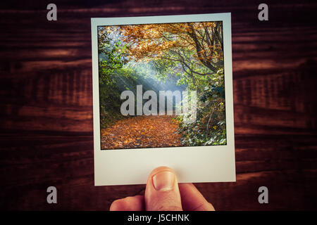 Polaroid Postkarte Foto von moody Sonnenlicht durch Herbstlaub auf leere Fußweg mit Textfreiraum. Reise-Erinnerungen-Scrapbooking des guten Stockfoto