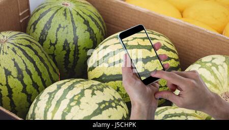 Digital Composite Hände fotografieren Wassermelonen über Mobiltelefon Stockfoto