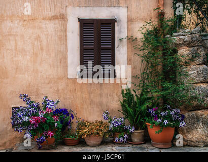 Reihe von Keramik Töpfe mit farbigen Blumen auf einer Steinmauer mit Fensterläden Fensterhintergrund. Altstadt von Pollensa auf der Treppe Via Crucis, Mallorca, Stockfoto