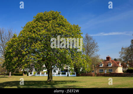 Blick über Ickwell Village Green, Bedfordshire, Stockfoto