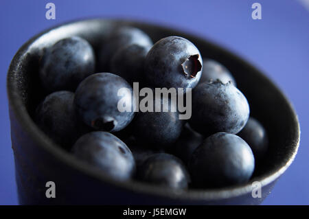 Heidelbeere, Vaccinium Corymbosum, schwarz gefärbten Früchte in eine Schüssel geben. Stockfoto