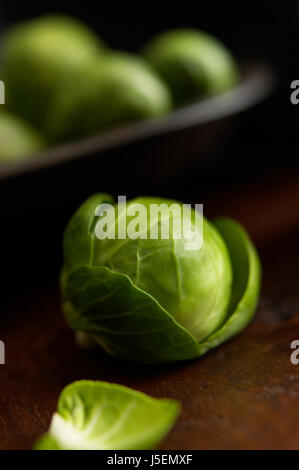 Brussel sprout, Brassica Oleracea Bullata Stusio Schuss von farbigem Gemüse. Stockfoto