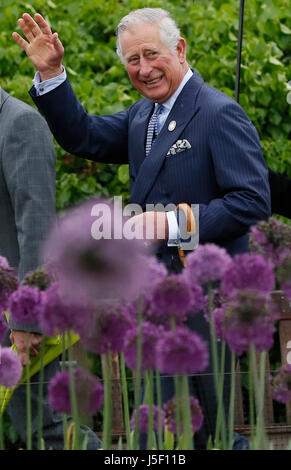 Der Prince Of Wales "Wellenlinien" er im Laufe der Allium Blumen gepflanzt im großen breiten Fuß grenzt an den Royal Botanic Gardens in Kew, Richmond, Surrey. Stockfoto