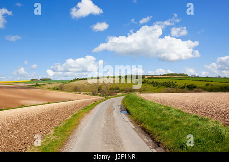 eine kleine Landstraße in die Yorkshire Wolds durch hügelige kultiviert kalkhaltige Hügeln unter blauem Himmel im Frühling Stockfoto