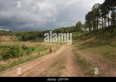 Menschen, Hunde, Devils Punchbowl, Hindhead, Surrey, England Stockfoto