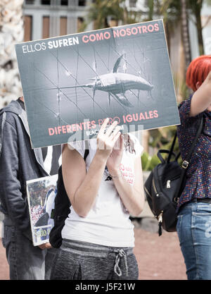 Tier Rechte Demonstranten außerhalb Aquarium Loro Parque in Puerto De La Cruz auf Teneriffa, Kanarische Inseln, Spanien Stockfoto