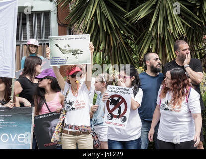 Tier Rechte Demonstranten außerhalb Aquarium Loro Parque in Puerto De La Cruz auf Teneriffa, Kanarische Inseln, Spanien Stockfoto