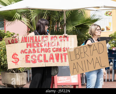 Tier Rechte Demonstranten außerhalb Aquarium Loro Parque in Puerto De La Cruz auf Teneriffa, Kanarische Inseln, Spanien Stockfoto