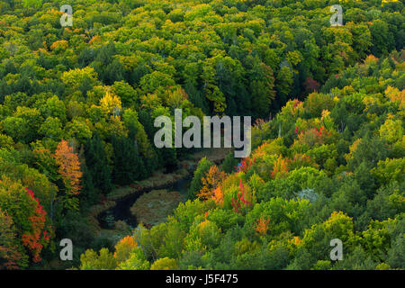 Der Übergang in die Porcupine Mountains Wildnis State Park von Michigans obere Halbinsel fallen. USA Stockfoto