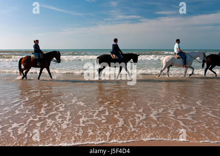 Reittourismus am Strand, Naturpark Donana, Matalascañas, Huelva Provinz, Region von Andalusien, Spanien, Europa Stockfoto