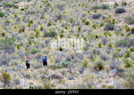 Rucksacktouristen Wanderung auf dem Trail auf Maultier Ohren Frühling im Big Bend National Park in Texas. Stockfoto