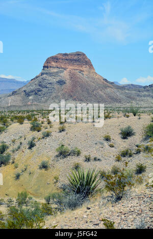 Castolon Peak (Cerro Castellan) schafft eine dramatische Landschaft in der Chihuahua-Wüste Region von Big Bend Nationalpark