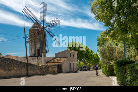 Weibliche Radfahrer person Radfahren durch eine Windmühle in der unberührten und schönen Dorf Llubi, Llubí, Mallorca, Mallorca, Balearen, Spanien Stockfoto