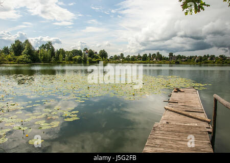 Teich mit gelben Hülsen in wechselhaftes Wetter Stockfoto