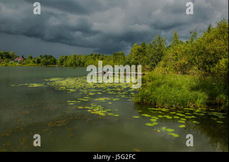 Teich mit gelben Hülsen in wechselhaftes Wetter Stockfoto