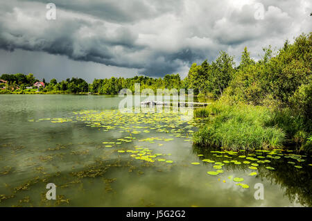 Teich mit gelben Hülsen in wechselhaftes Wetter Stockfoto