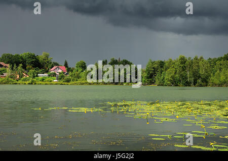 Teich mit gelben Hülsen in wechselhaftes Wetter Stockfoto