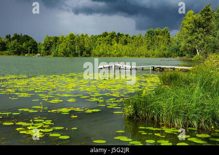 Teich mit gelben Hülsen in wechselhaftes Wetter Stockfoto