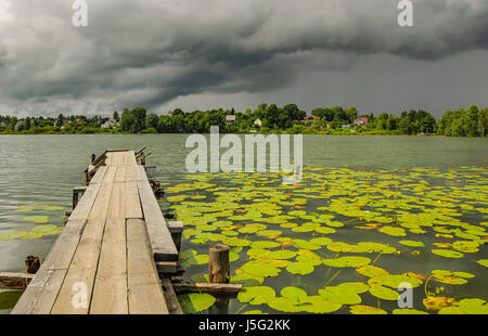 Teich mit gelben Hülsen in wechselhaftes Wetter Stockfoto