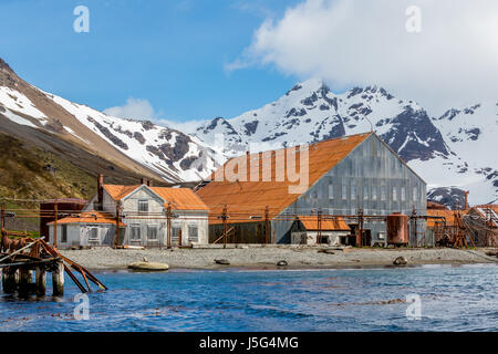 Harbor Master Haus und Walfang Fabrik Stromness Insel Stockfoto