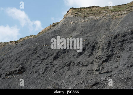 Fossil-angereicherten Klippen, Charmouth Stockfoto