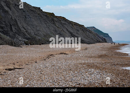 Fossil-angereicherten Klippen, Charmouth Stockfoto