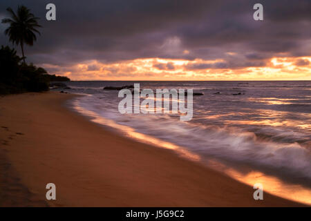 Sonnenuntergang Afrika Palmen Twilight Reflexe Kamerun Salzwasser Meerwasser Ozean Stockfoto