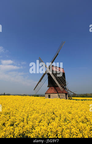 Stevington Windmühle; Stevington Dorf; Bedfordshire County; England; UK Stockfoto