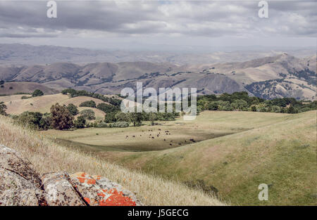 Sunol regionale Wildnis in der Nähe von Pleasanton, Alameda County, Kalifornien, USA. Stockfoto