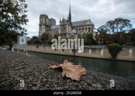 Herbst in Paris Stockfoto