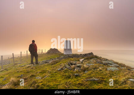 Große steinige Hügel, Teesdale, County Durham UK. 18. Mai 2017. Großbritannien Wetter.  Dieser Hügel Gehhilfe war früh um einen spektakulären Sonnenaufgang als Nebel wirbelte um den Gipfel des großen Stony Hill in den North Pennines heute Morgen zu genießen. Bildnachweis: David Forster/Alamy Live-Nachrichten Stockfoto