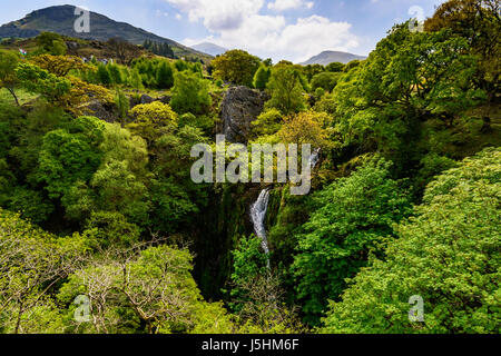 Llanberis Wasserfall in Snowdonia-Nationalpark Stockfoto